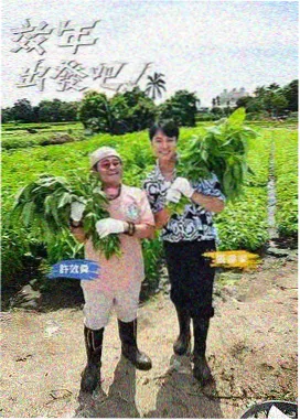 影视资讯